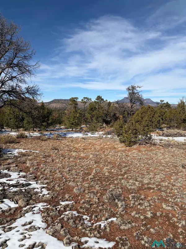 63 Horse Peak Trail, Datil, NM 87821