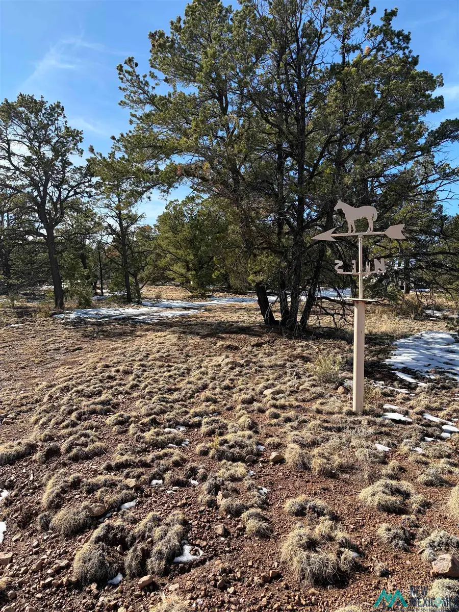 63 Horse Peak Trail, Datil, NM 87821 - Image #2