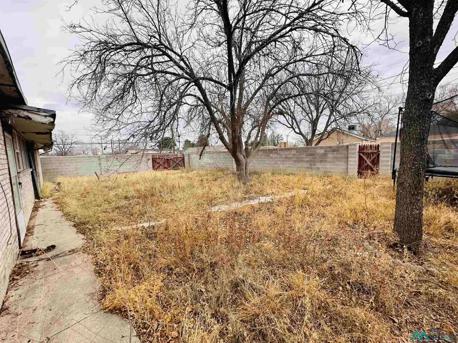 103 W Yeso Drive, Hobbs, NM 88240 - Image #3