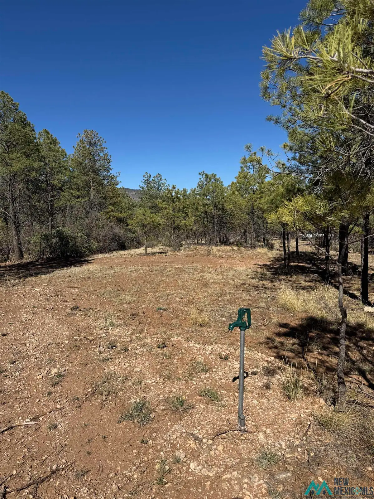 Lot8&9 Winter Drive, Timberon, NM 88350 - Image #1
