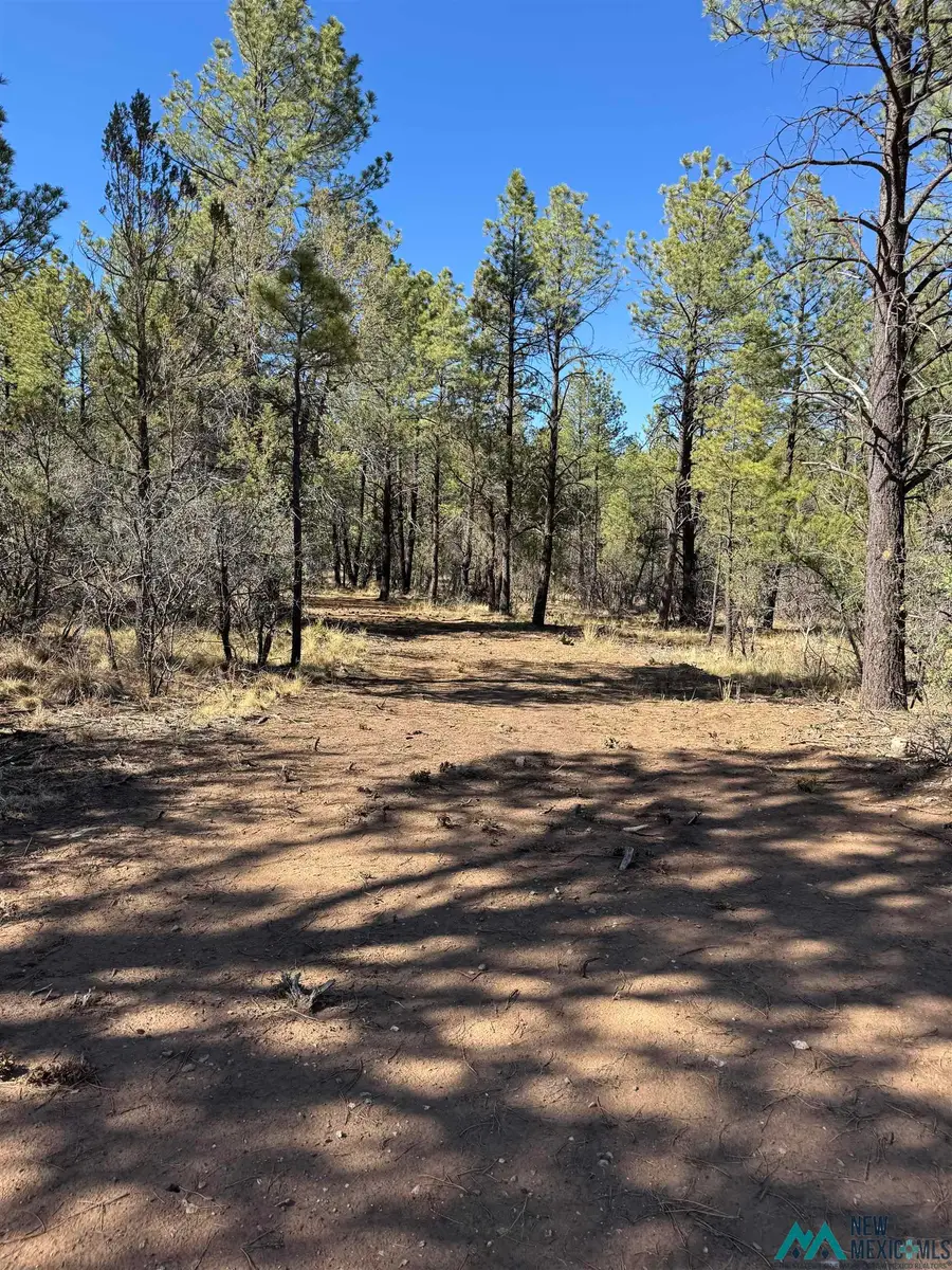 Lot8&9 Winter Drive, Timberon, NM 88350 - Image #3
