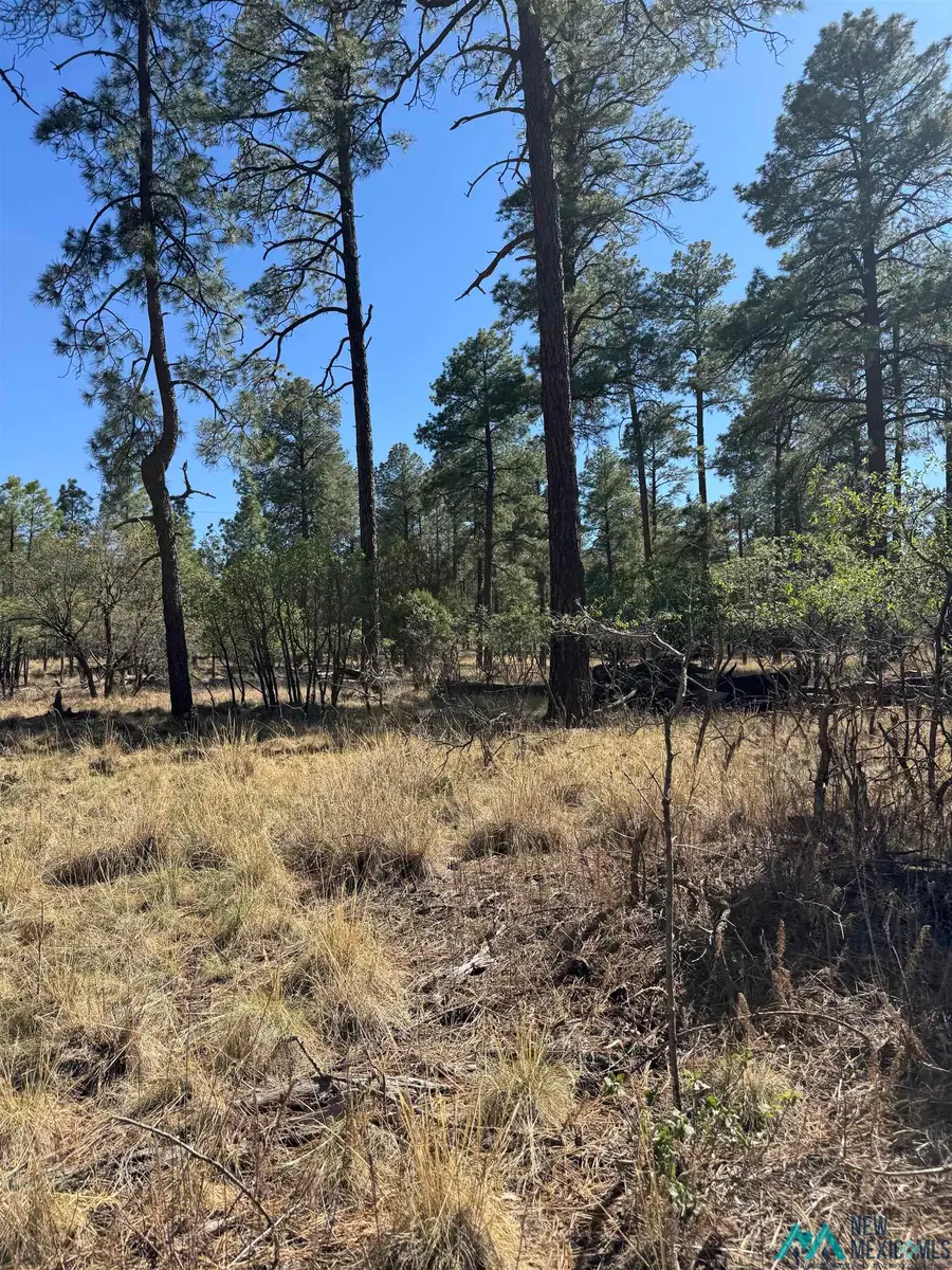 Lot95 Tonto Drive, Timberon, NM 88350 - Image #3