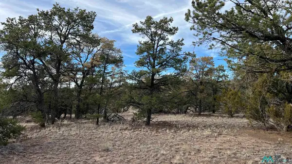 TBD Apache Pass Road, Quemado, NM 87829