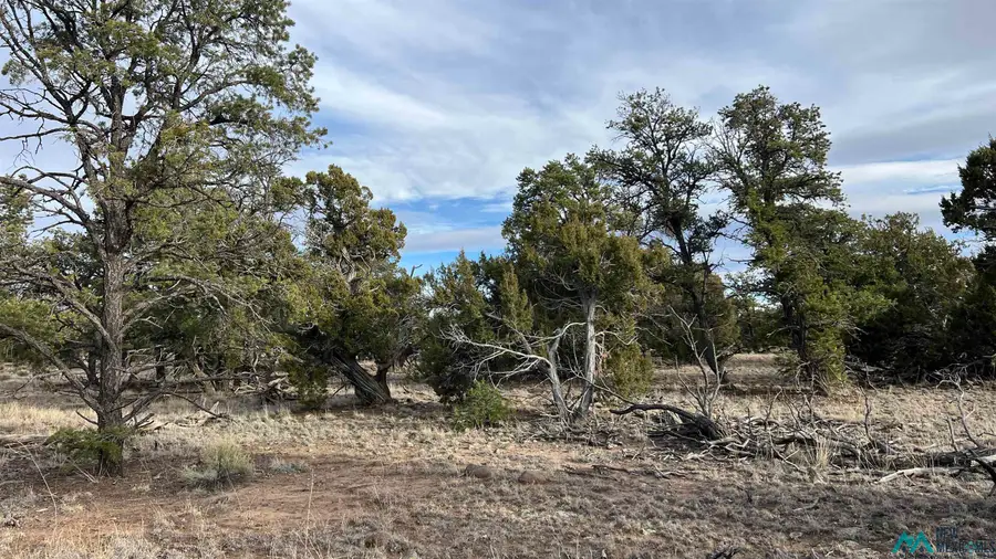 TBD Apache Pass Road, Quemado, NM 87829 - Image #2