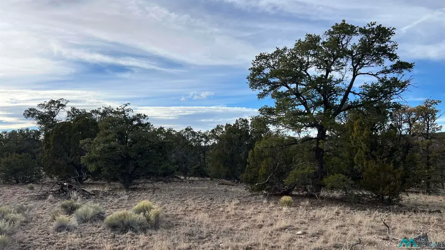 TBD Apache Pass Road, Quemado, NM 87829 - Image #3