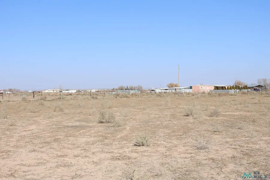 462 Palomino Street, Hagerman, NM 88232 - Image #2