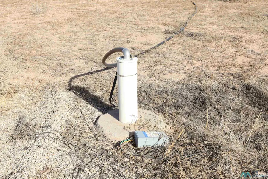 462 Palomino Street, Hagerman, NM 88232 - Image #3