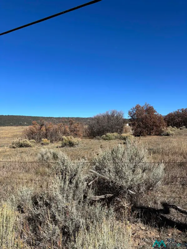 TBD County Rd. 115, Canjillon, NM 87515