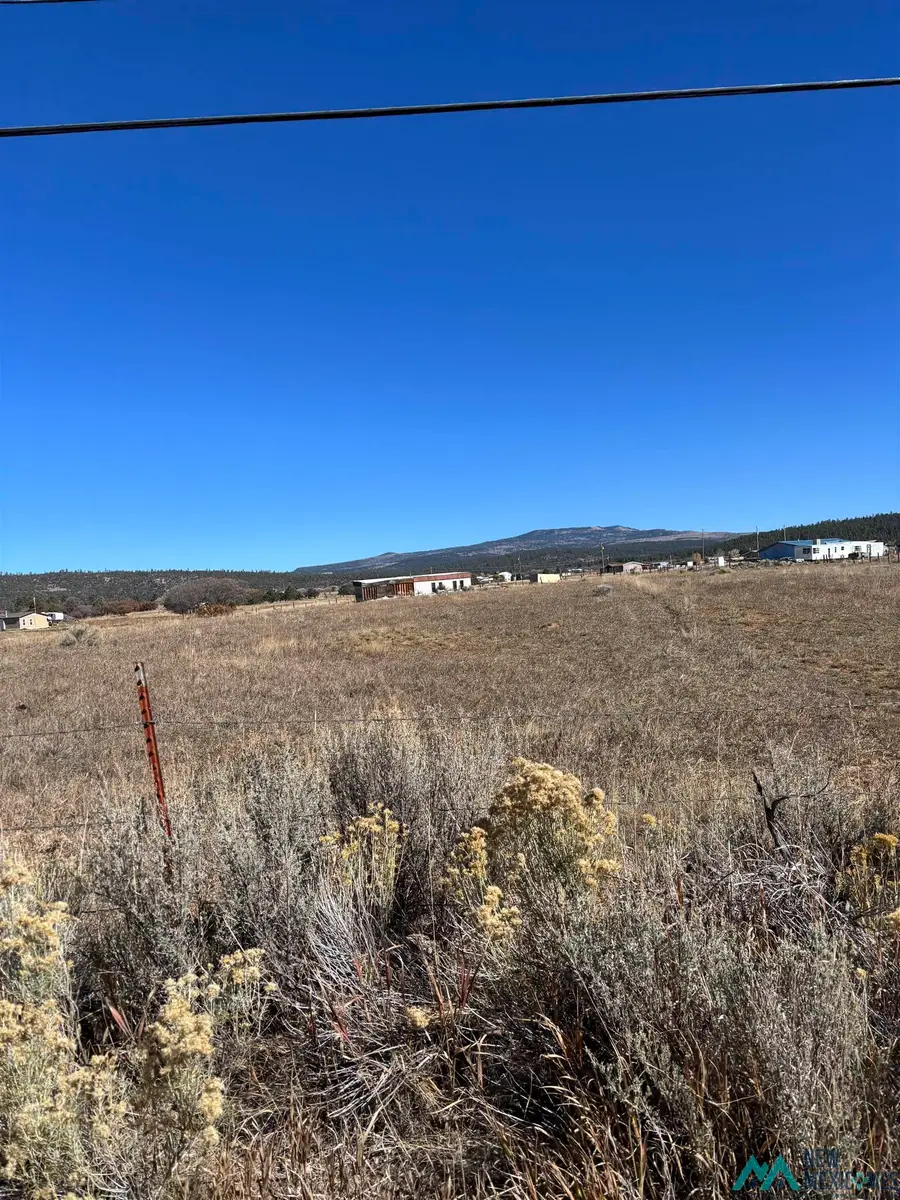 TBD County Rd. 115, Canjilon, NM 87515 - #2