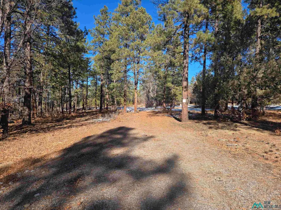 1 La Espuela Drive, Chama, NM 87520 - Image #2