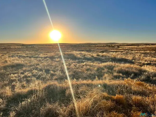 Lot 10 Buena Vida, Roswell, NM 88203