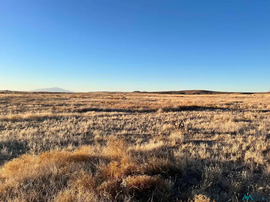 Lot 10 Buena Vida, Roswell, NM 88203 - Image #2