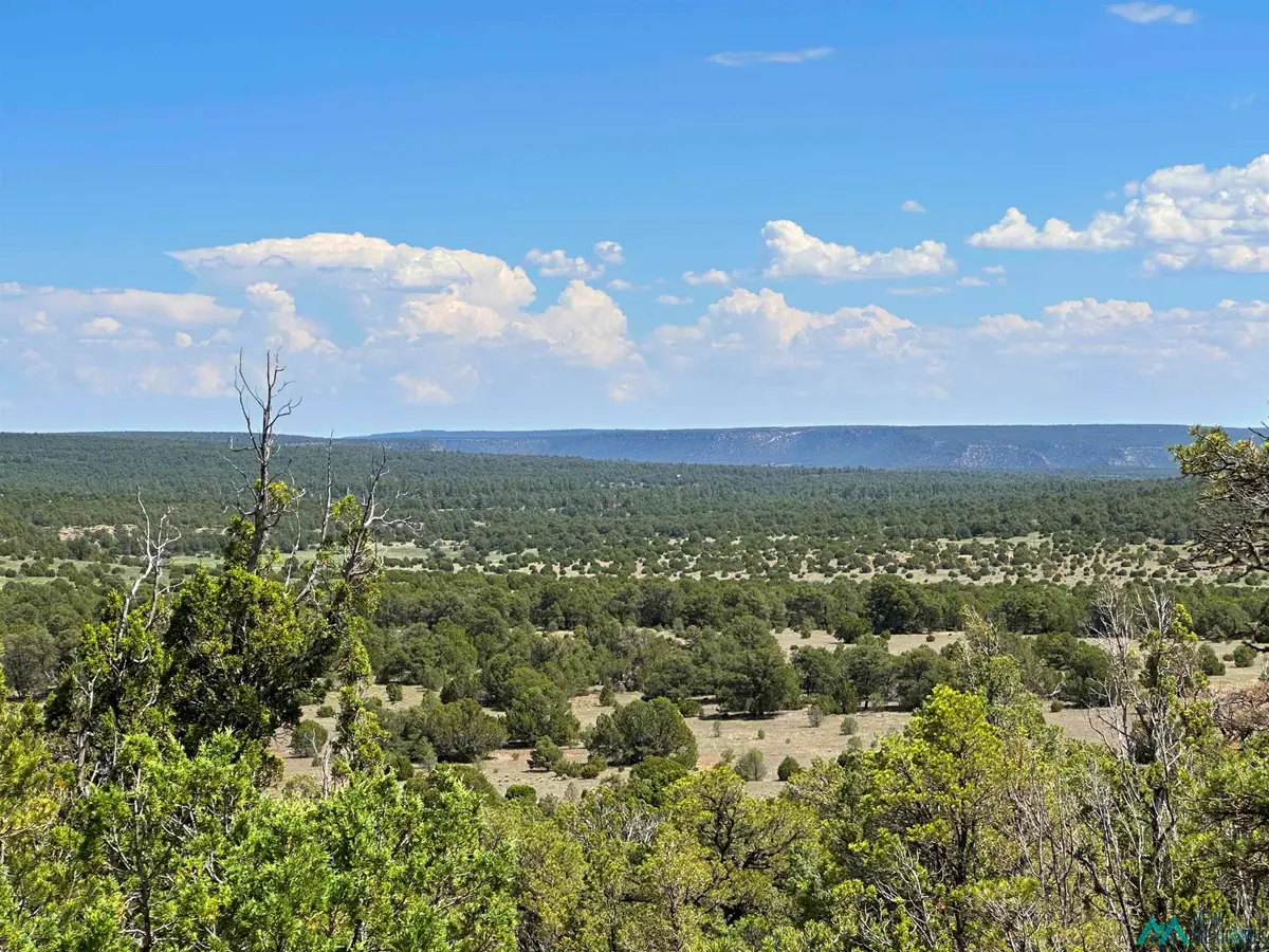 Lot 7 Tierra De Dios, Rowe, NM 87562 - Image #1