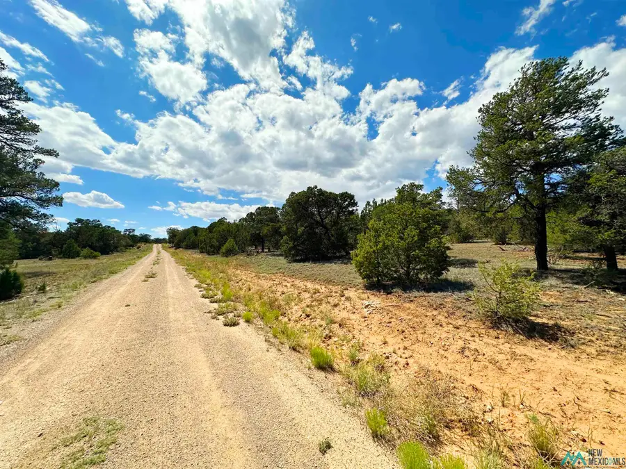 Lot 7 Tierra De Dios, Rowe, NM 87562 - Image #2