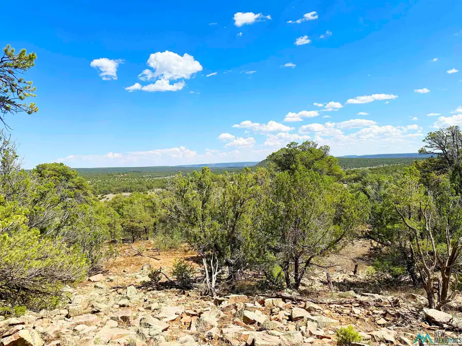 Lot 7 Tierra De Dios, Rowe, NM 87562 - Image #3