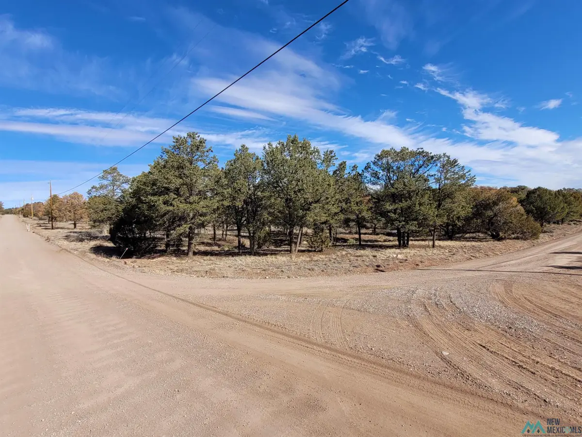 Xx Homestead Trail, Datil, NM 87821 - Image #1