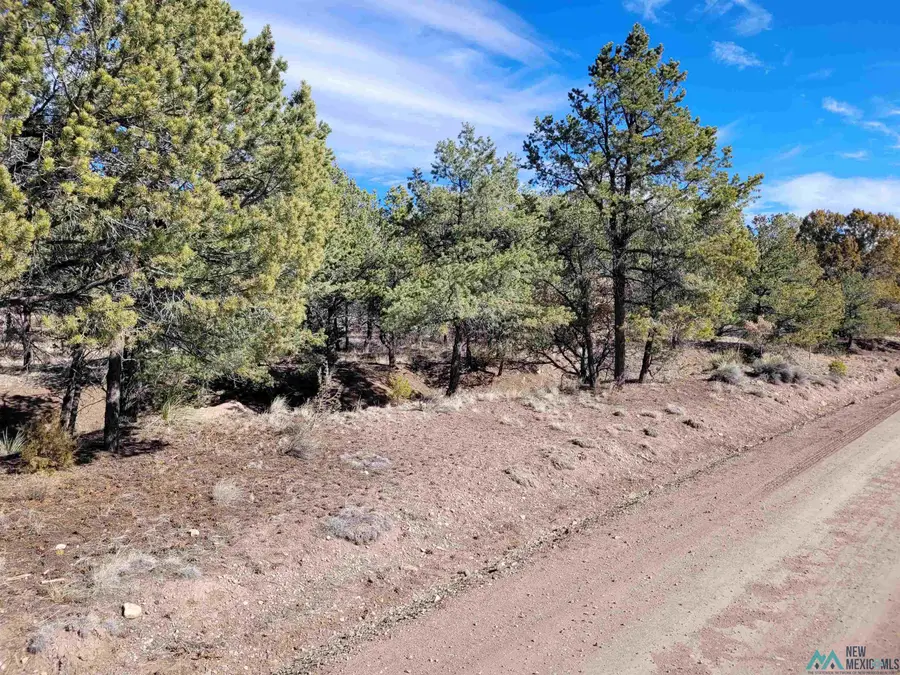 Xx Homestead Trail, Datil, NM 87821 - Image #2