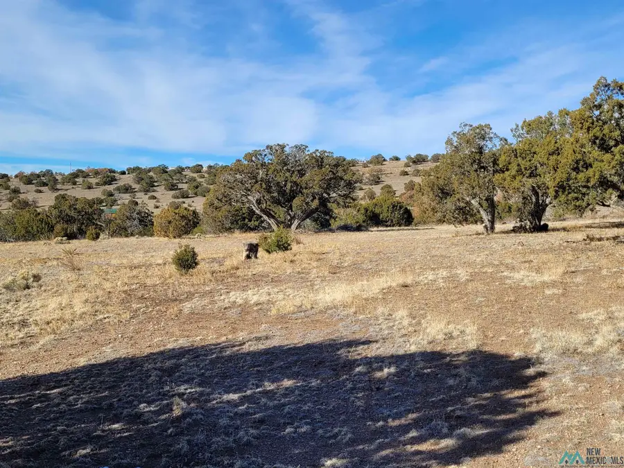 235 Sugarloaf Trail, Datil, NM 87821 - Image #2