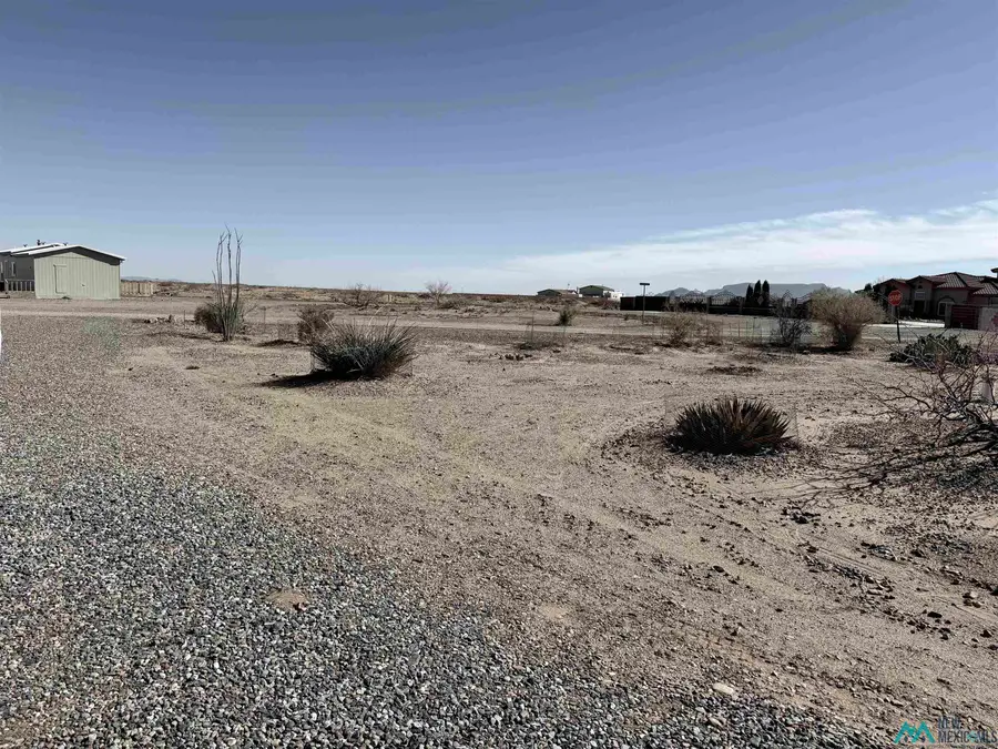 2513 NE Silver Dollar Loop Road, Deming, NM 88030 - Image #3