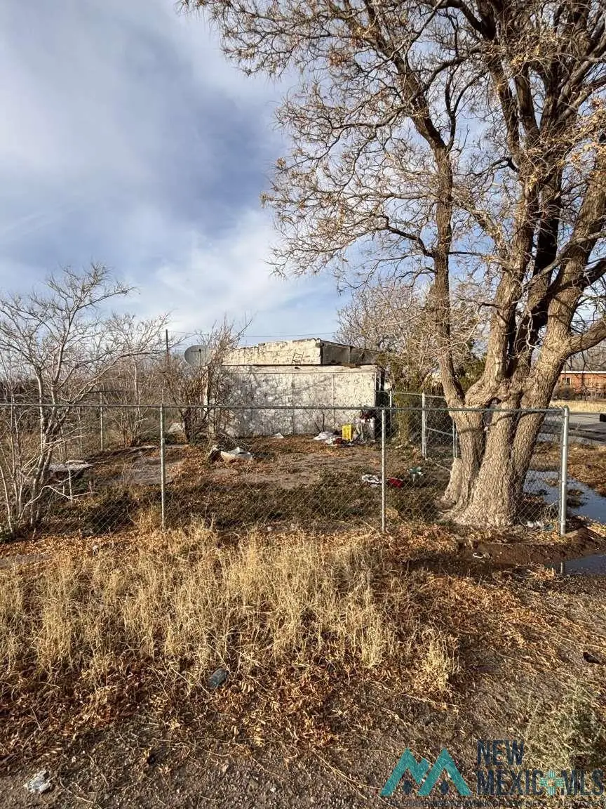 401 W 2nd Street, Deming, NM 88030 - #2