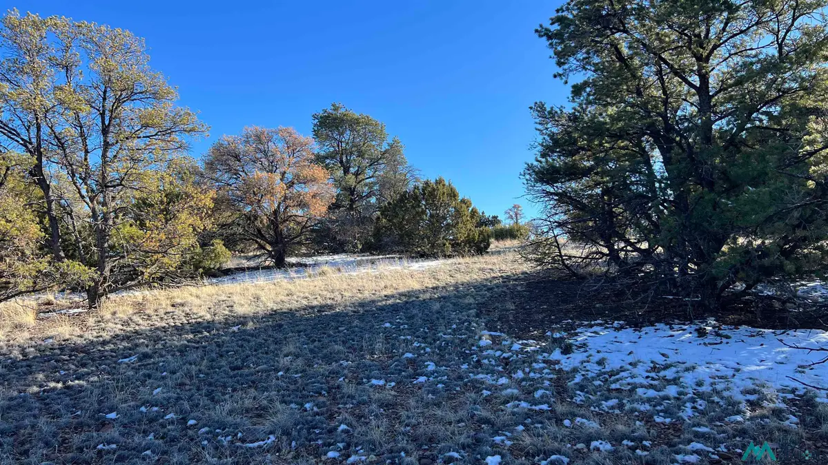 TBD Chamisa Trail Road, Quemado, NM 87829 - #1