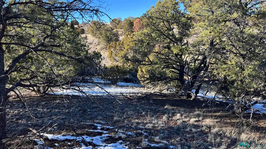 TBD Chamisa Trail Road, Quemado, NM 87829 - #2