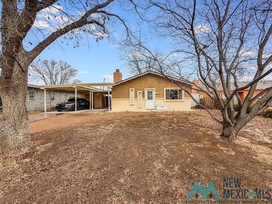 312 Pike Road, Carlsbad, NM 88220 - Image #2