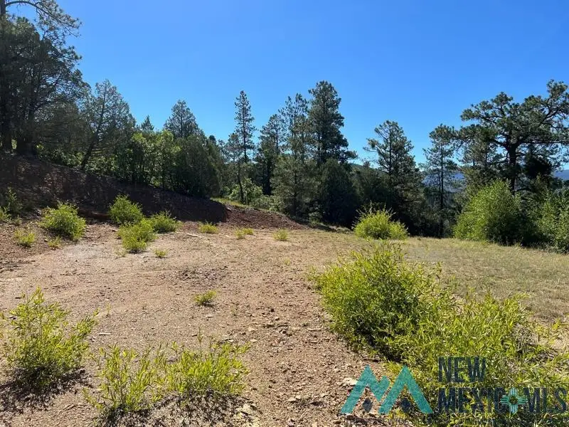 TBD Vega View Road Road, Chama, NM 87520 - #1