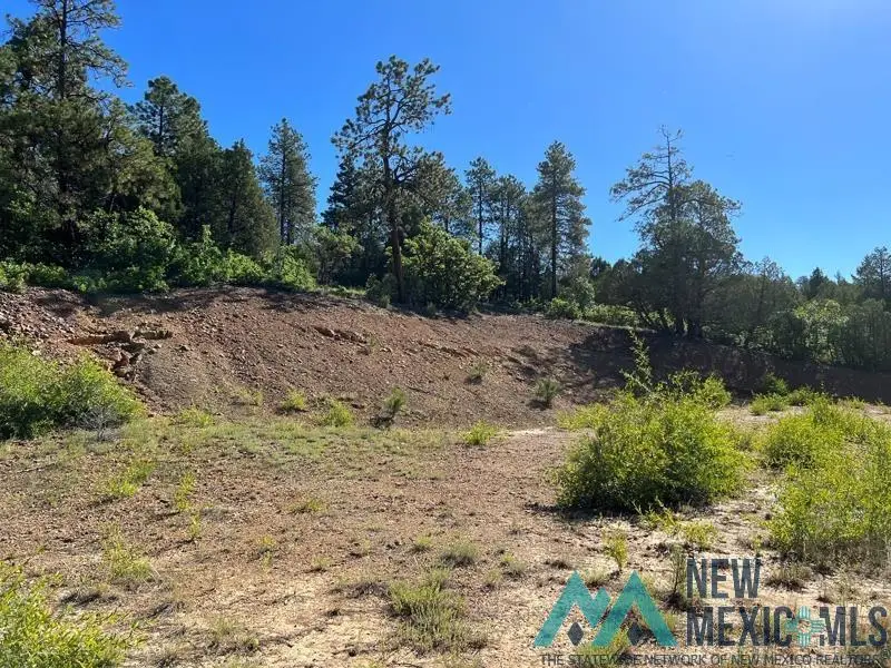 TBD Vega View Road Road, Chama, NM 87520 - #2