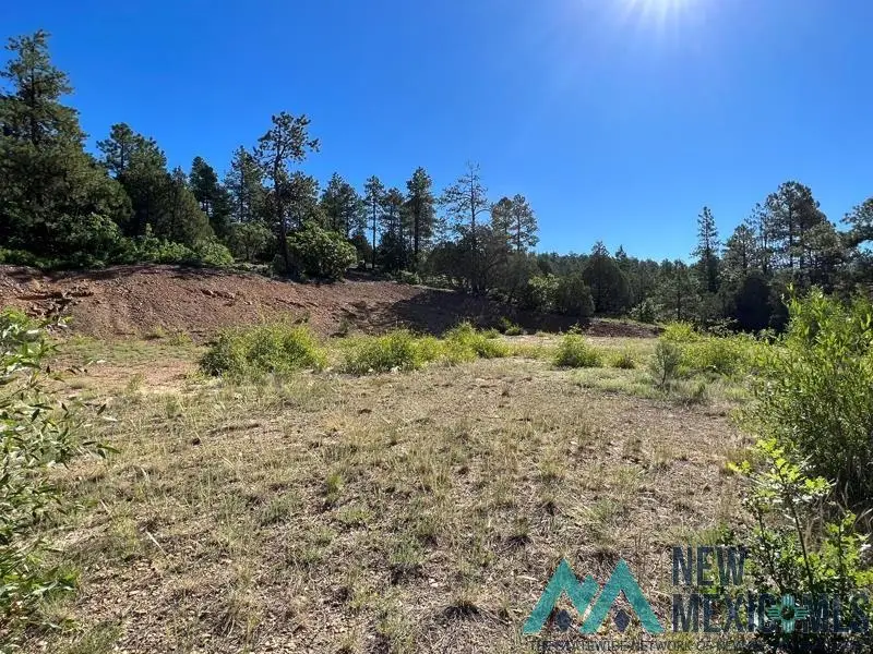 TBD Vega View Road Road, Chama, NM 87520 - #3