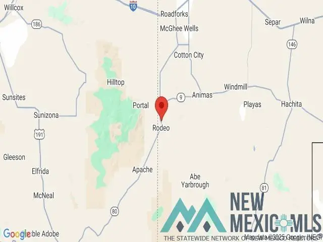 Caballos, Rodeo, NM 88056 - #2
