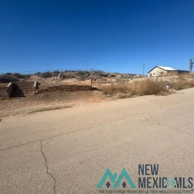 1309 Lopez Street, Carlsbad, NM 88220 - Image #3