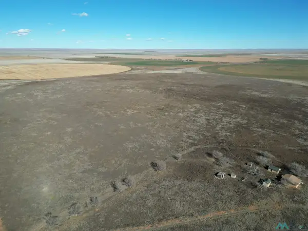 1704 S Ave D, Portales, NM 88130