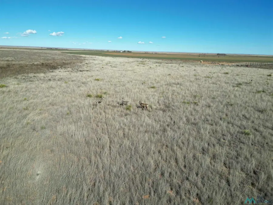 1704 S Ave D, Portales, NM 88130 - Image #2