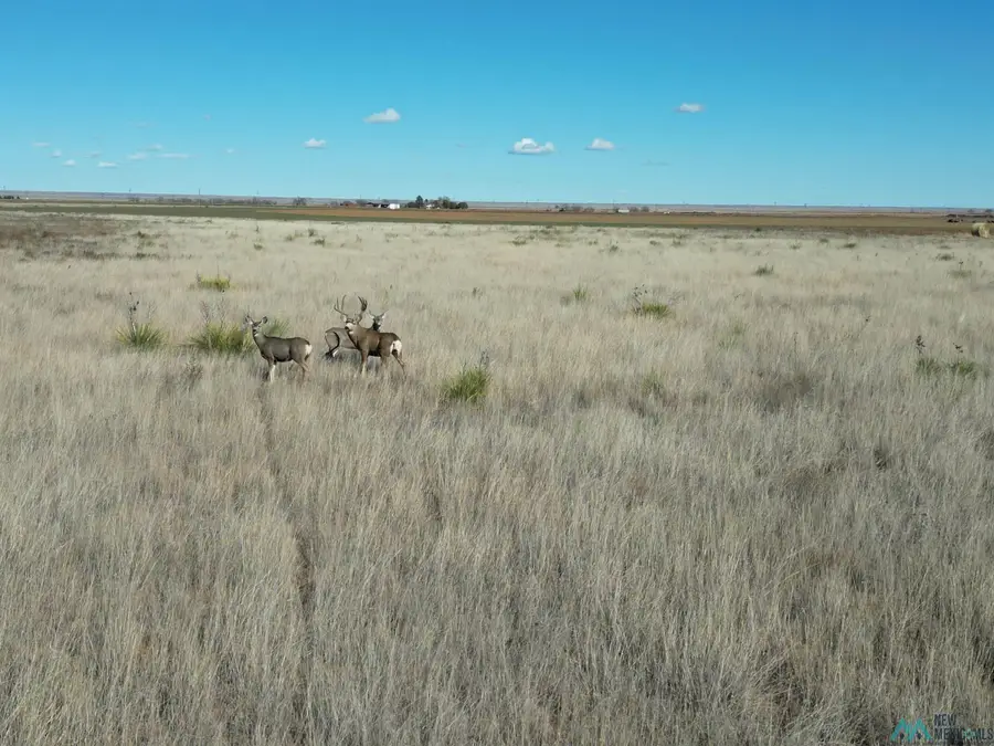 1704 S Ave D, Portales, NM 88130 - Image #3