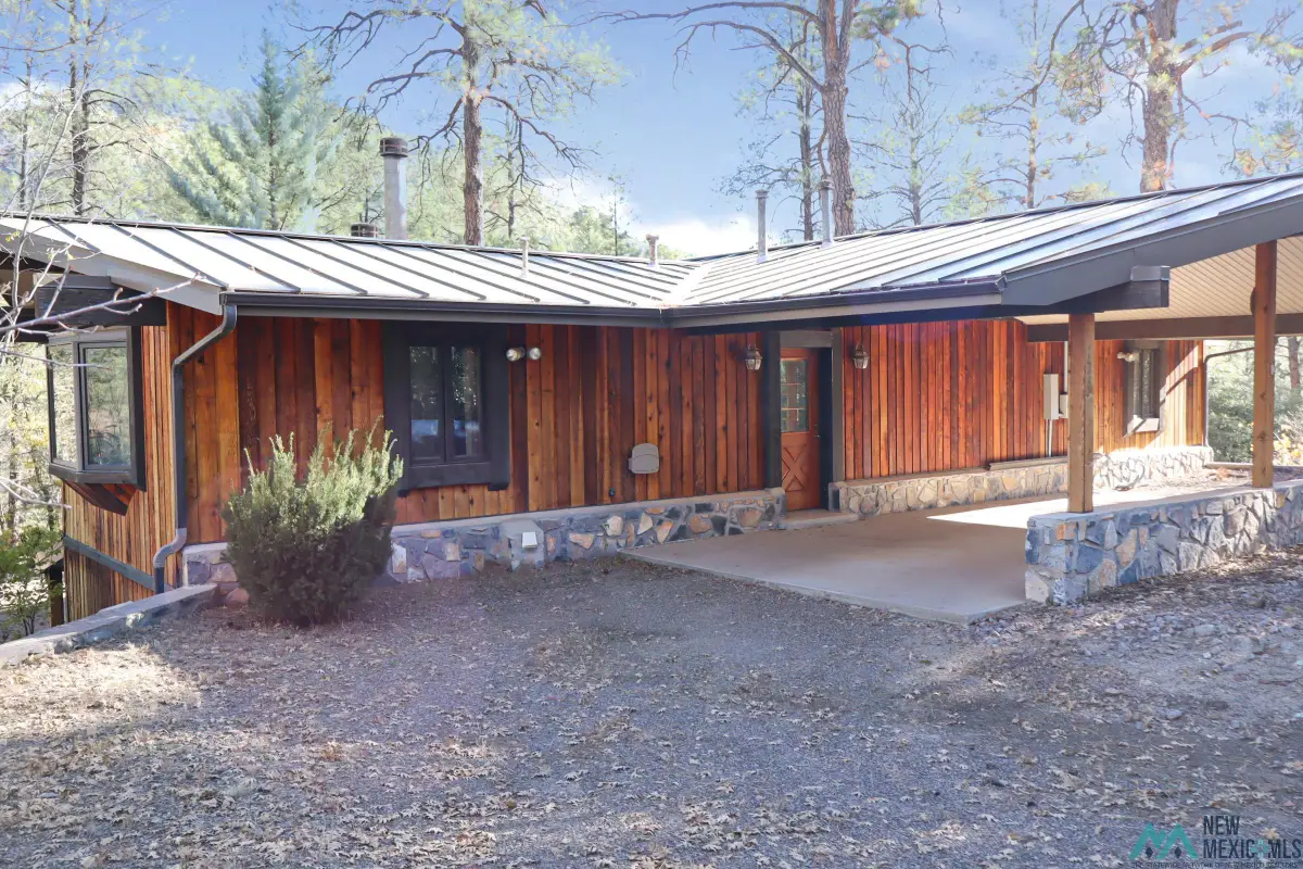 128 Bear Creek Road, Pinos Altos, NM 88053 - #1