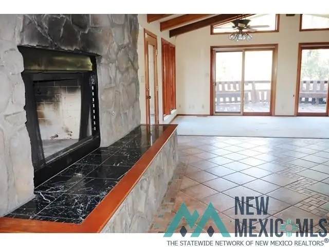 128 Bear Creek Road, Pinos Altos, NM 88053 - #2