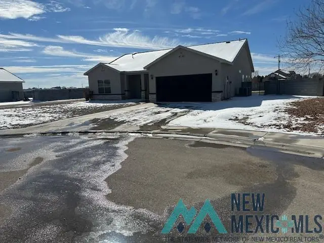 4107 Honolulu Road, Carlsbad, NM 88220 - Image #2