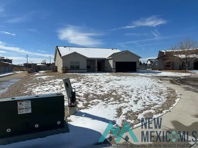 4107 Honolulu Road, Carlsbad, NM 88220 - Image #3