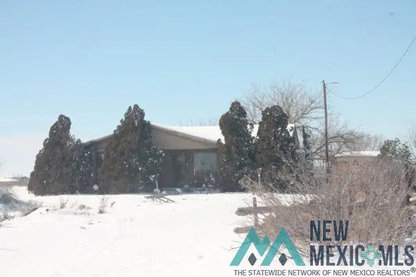 7782 Shoshpni Rd Road, Hagerman, NM 88232