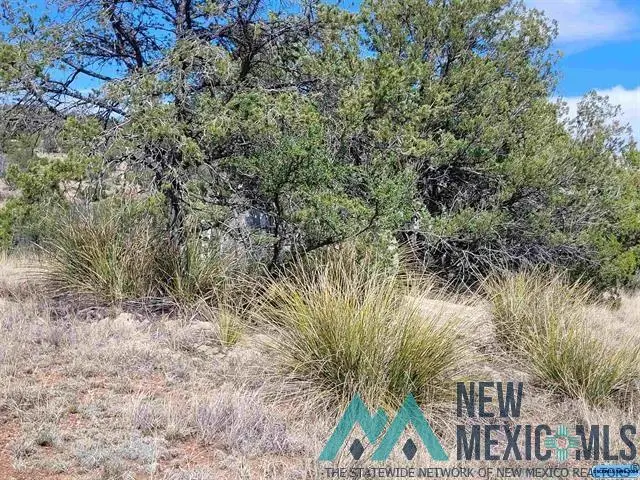 XX Moon Shadow Road, Hanover, NM 88041 - #3