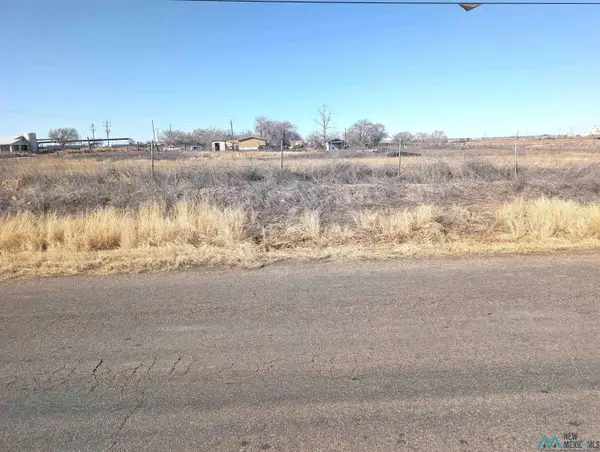 1902 S Roosevelt Rd 7 Road, Portales, NM 88130
