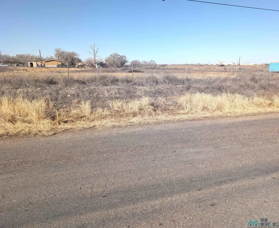 1902 S Roosevelt Rd 7 Road, Portales, NM 88130 - Image #2