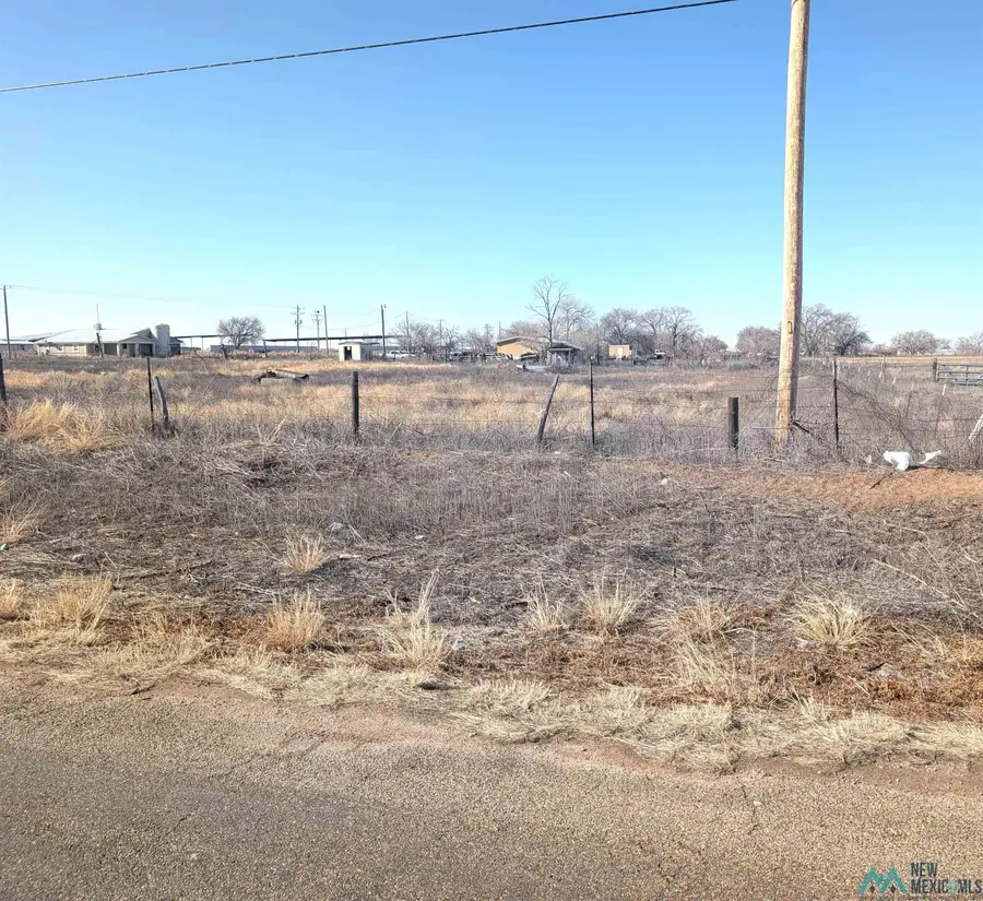 1902 S Roosevelt Rd 7 Road, Portales, NM 88130 - Image #3