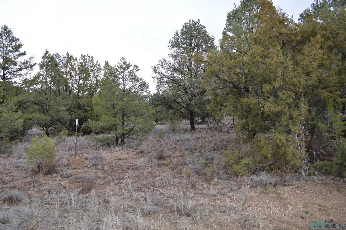LOT 5 God's Acre Road, Zuni Ramah Navajo, NM 87357 - #1
