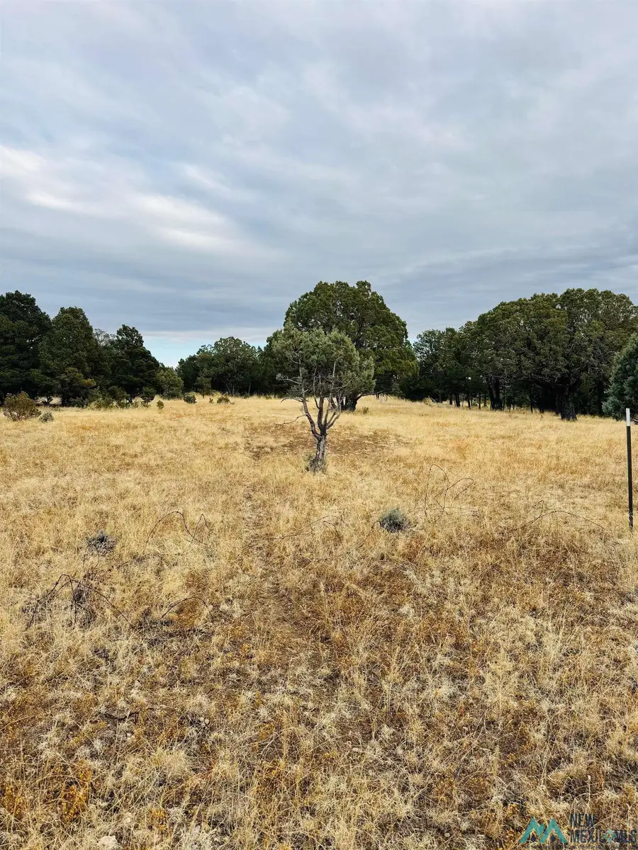 0 San Mateo Drive, Alto, NM 88312 - #3