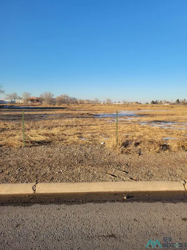 611 E College Street, Roswell, NM 88201