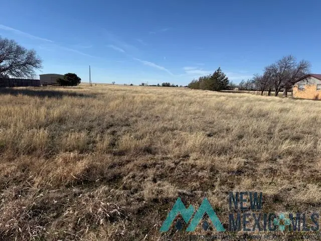 8524 La Linda Street, Clovis, NM 88101 - #2