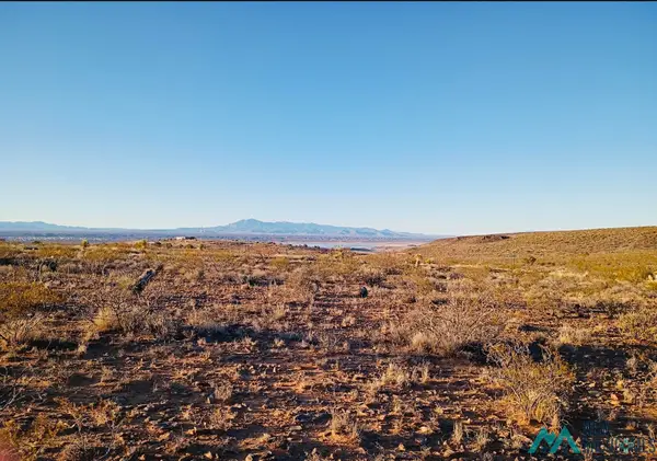 TBD Armendariz Road, Elephant Butte, NM 87901