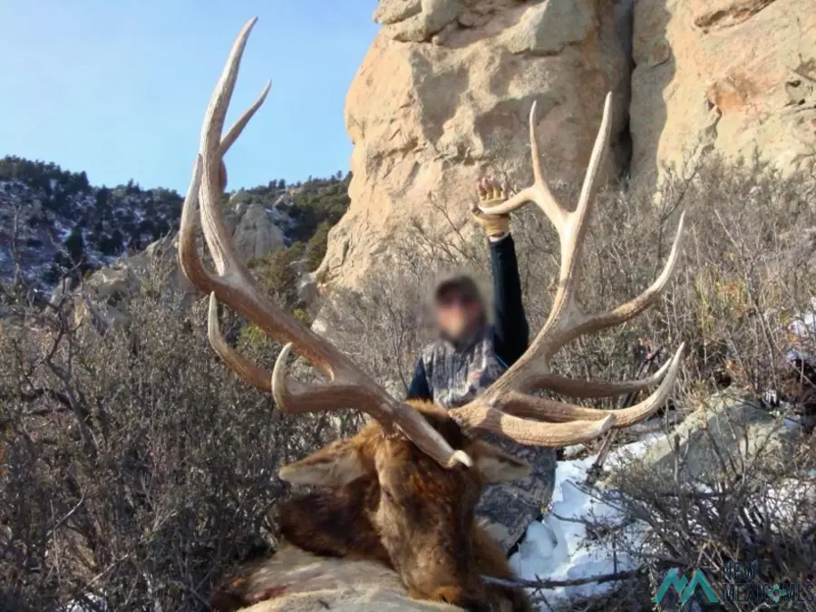 Address Withheld By Seller, Carrizozo, NM 88301 - #2